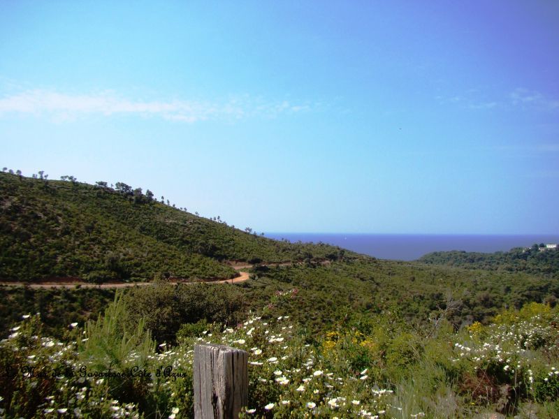 photo 21 Owner direct vacation rental Hyres gite Provence-Alpes-Cte d'Azur Var Surroundings