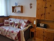 Tarentaise ski resort rentals: appartement # 117178