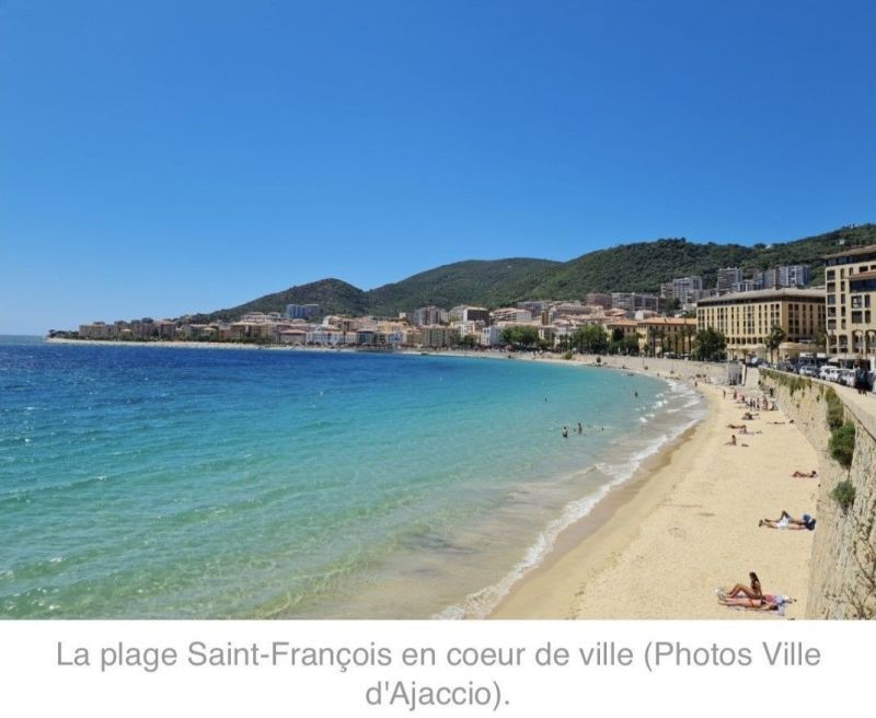 photo 10 Owner direct vacation rental Ajaccio appartement Corsica Corse du Sud Beach
