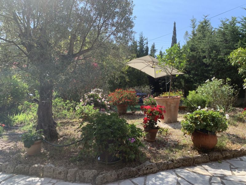 photo 20 Owner direct vacation rental Frjus villa Provence-Alpes-Cte d'Azur Var Garden