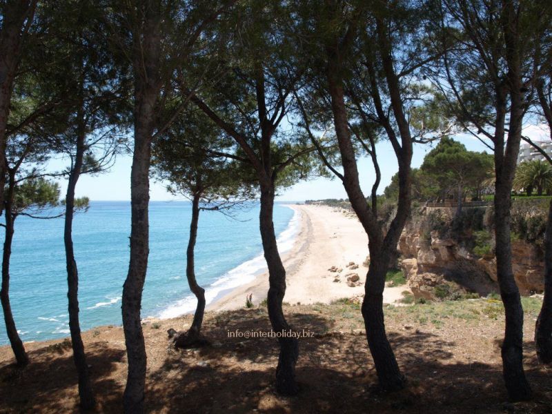 photo 19 Owner direct vacation rental L'Ametlla de Mar villa Catalonia Tarragona (province of)