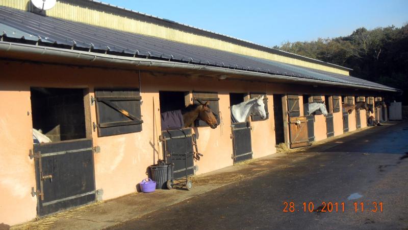 photo 8 Owner direct vacation rental Deauville appartement Basse-Normandie Calvados Other view