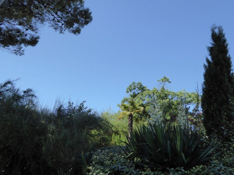 photo 7 Owner direct vacation rental Le Bois-Plage-en-R maison Poitou-Charentes Charente-Maritime View from the terrace