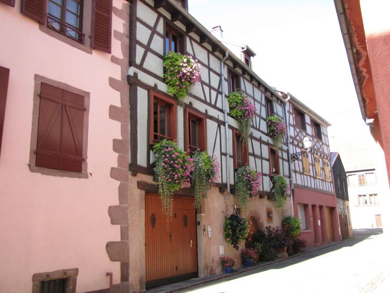 photo 16 Owner direct vacation rental Ribeauvill appartement Alsace Haut-Rhin