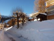 French Alps ski in/ski out vacation rentals: appartement # 82325