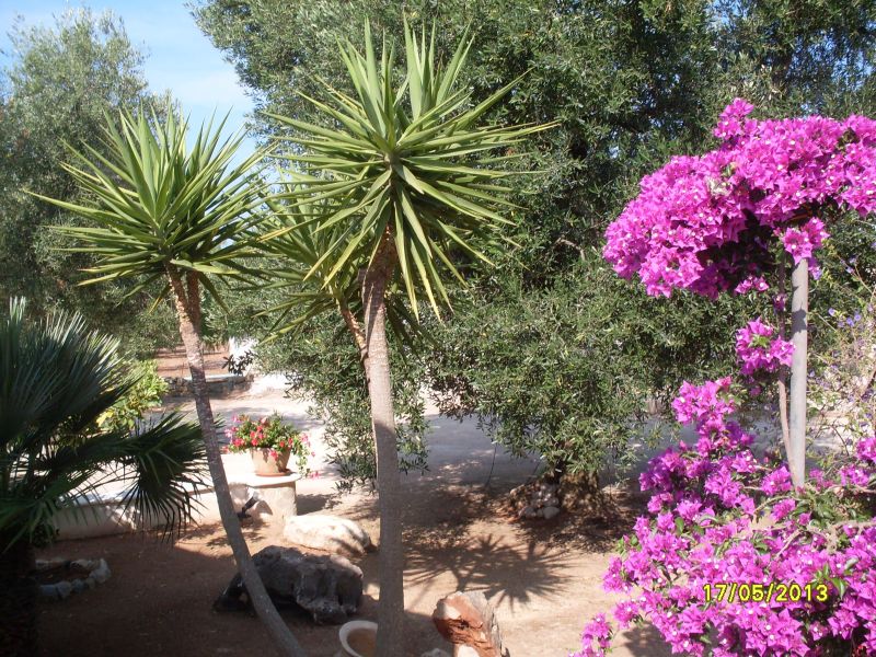 photo 7 Owner direct vacation rental Pescoluse villa Puglia Lecce Province View of the property from outside