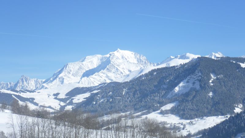 photo 19 Owner direct vacation rental Praz sur Arly studio Rhone-Alps Haute-Savoie Surroundings