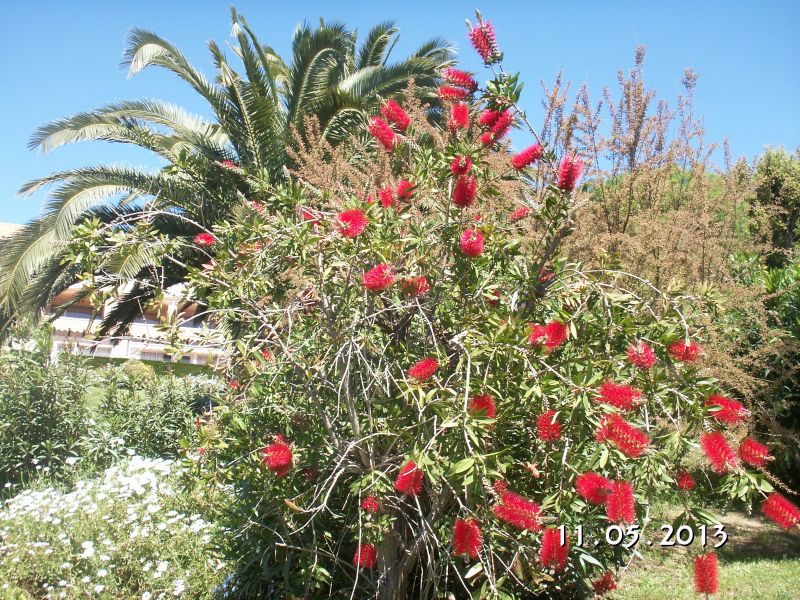 photo 12 Owner direct vacation rental Sainte Maxime appartement Provence-Alpes-Cte d'Azur Var Garden