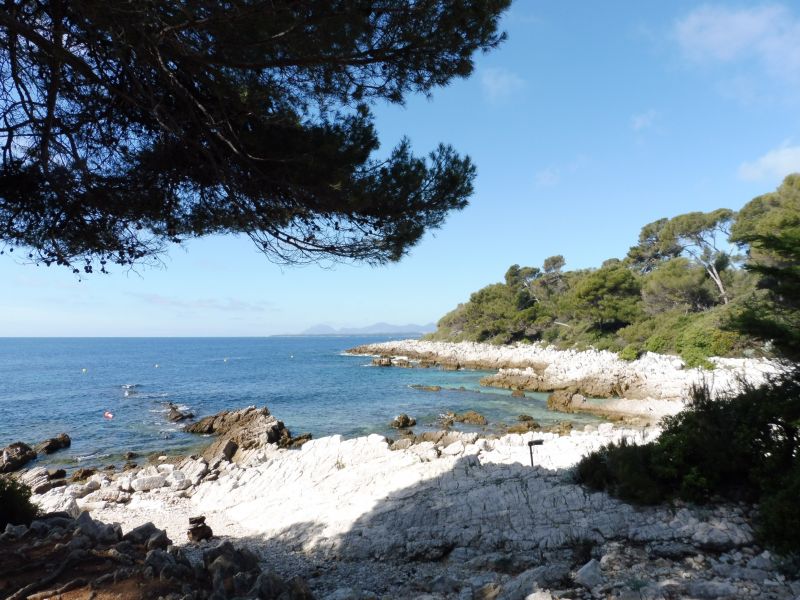 photo 24 Owner direct vacation rental Antibes appartement Provence-Alpes-Cte d'Azur Alpes-Maritimes Surroundings