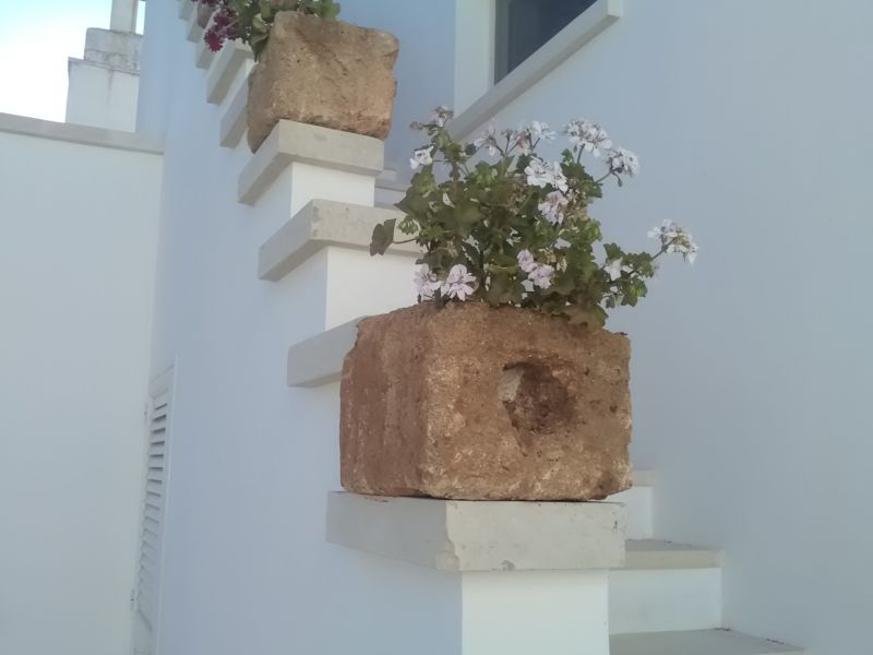 photo 5 Owner direct vacation rental Torre Vado appartement Puglia Lecce Province