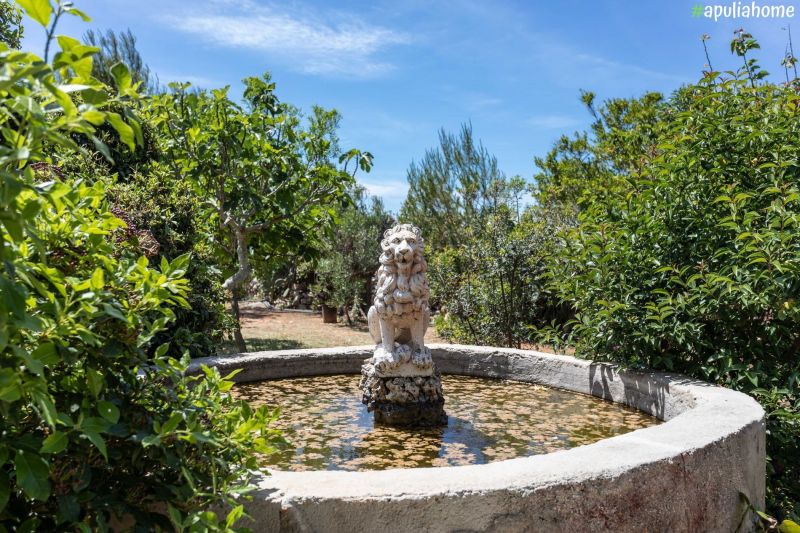 photo 7 Owner direct vacation rental Torre Suda villa Puglia Lecce Province Garden