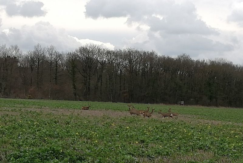 photo 24 Owner direct vacation rental Amboise gite Centre Indre et Loire View from the property