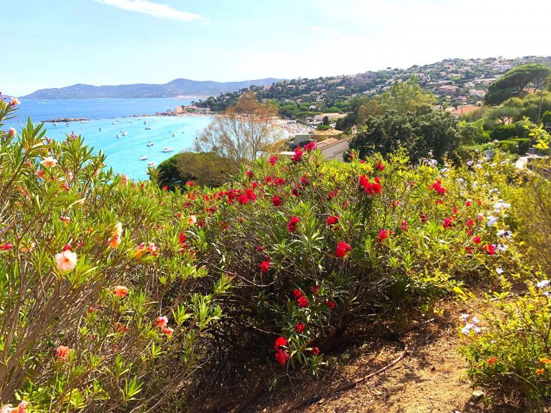 photo 4 Owner direct vacation rental Le Lavandou villa   View from the terrace