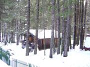 vacation rentals mountain chalets: chalet # 74943