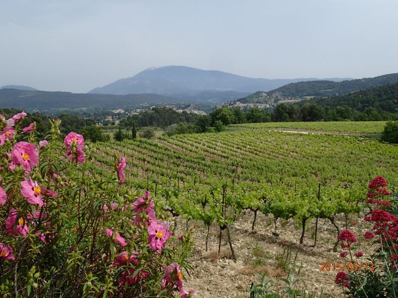 photo 16 Owner direct vacation rental Vaison la Romaine gite Provence-Alpes-Cte d'Azur Vaucluse View from the property