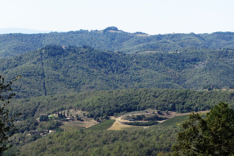 photo 13 Owner direct vacation rental Siena gite Tuscany Siena View from the terrace