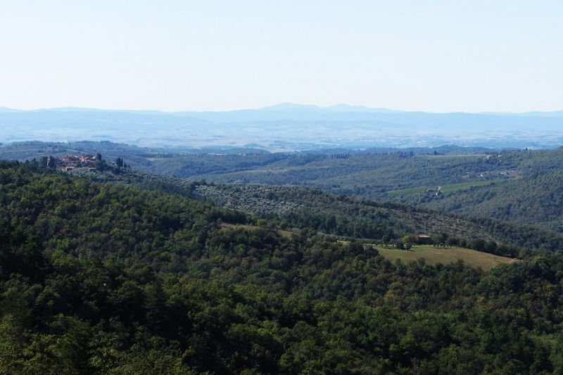 photo 14 Owner direct vacation rental Siena gite Tuscany Siena View from the terrace