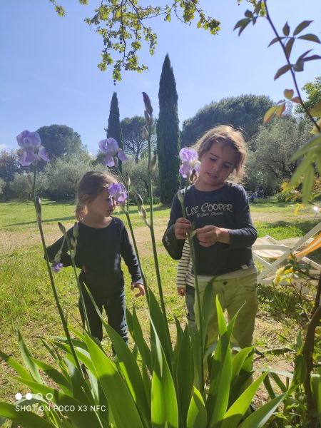 photo 5 Owner direct vacation rental Uzs maison Languedoc-Roussillon Gard Garden