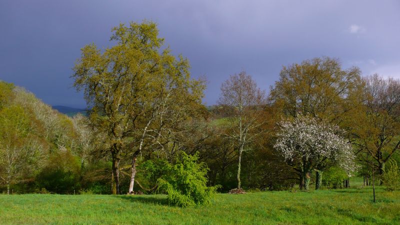 photo 1 Owner direct vacation rental Montignac sur Vzre (Grottes de Lascaux) gite Aquitaine Dordogne View of the property from outside