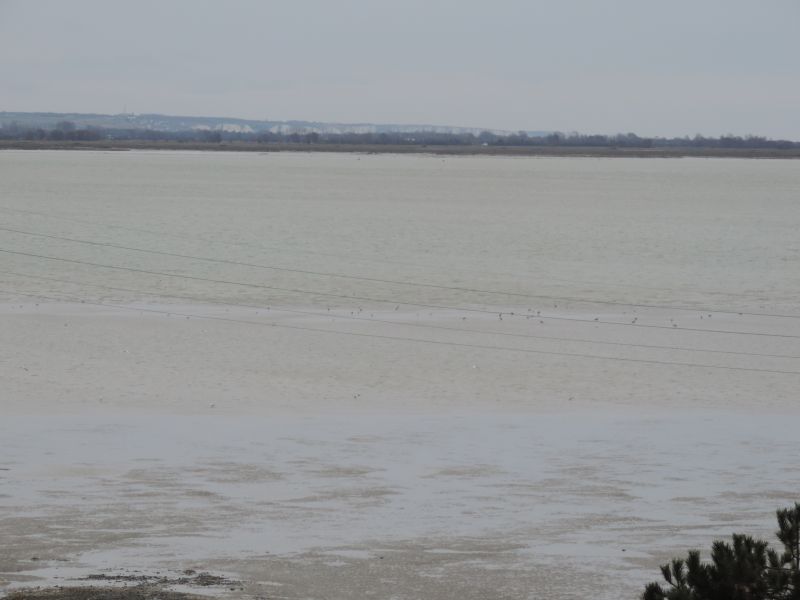 photo 5 Owner direct vacation rental Le Crotoy appartement Picardy Somme View from the terrace