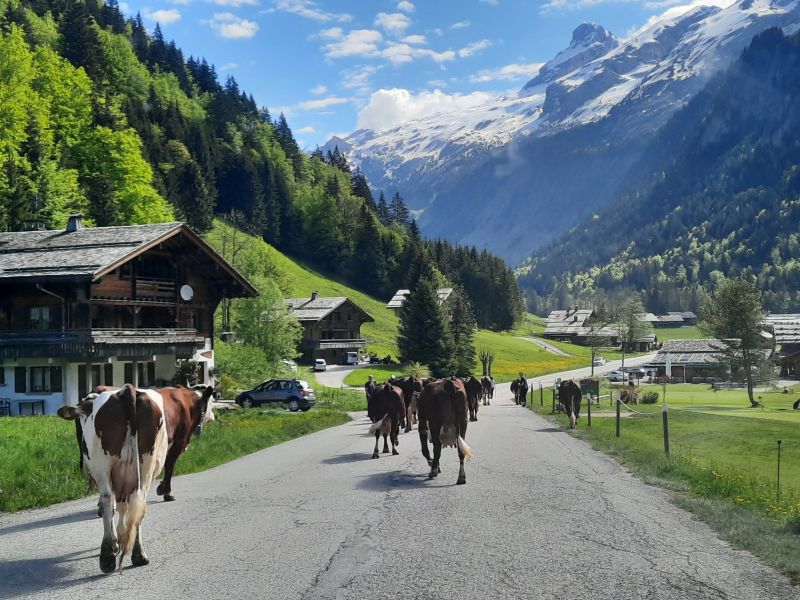 photo 5 Owner direct vacation rental Le Grand Bornand appartement Rhone-Alps Haute-Savoie View of the property from outside