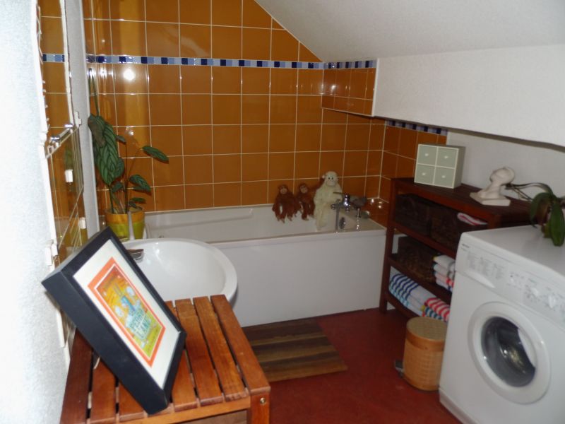 photo 14 Owner direct vacation rental Grardmer appartement Lorraine Vosges bathroom