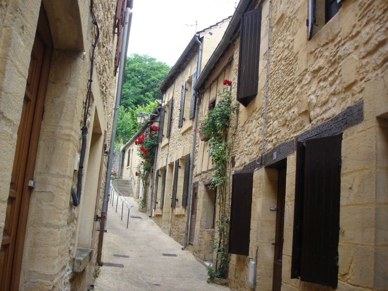 photo 10 Owner direct vacation rental Sarlat appartement Aquitaine Dordogne Surroundings