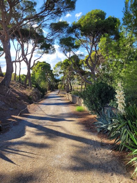 photo 20 Owner direct vacation rental Saint Pierre la Mer villa Languedoc-Roussillon Aude Other view