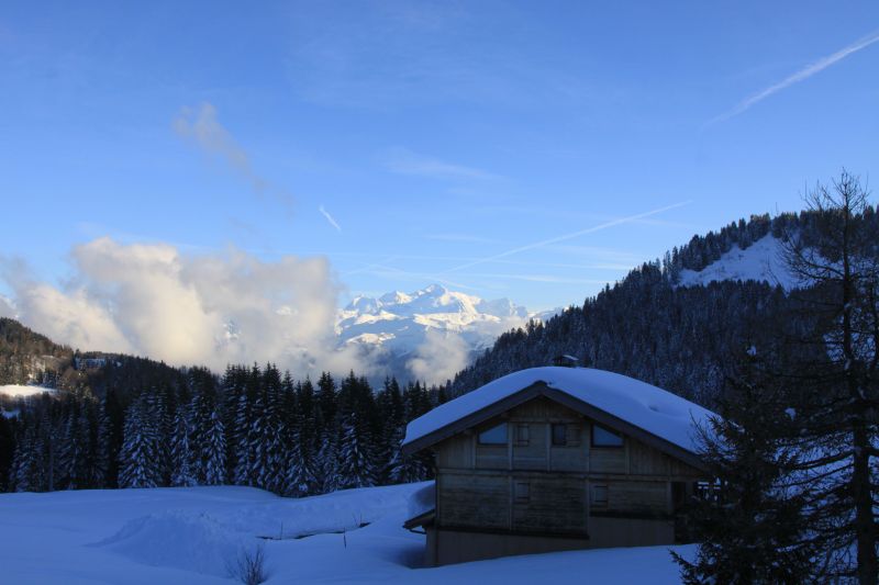 photo 12 Owner direct vacation rental Praz de Lys Sommand appartement Rhone-Alps Haute-Savoie View from the balcony
