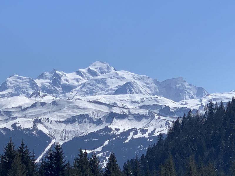 photo 15 Owner direct vacation rental Praz de Lys Sommand appartement Rhone-Alps Haute-Savoie View from the terrace