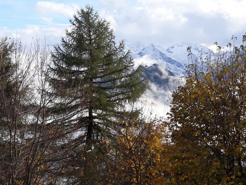 photo 21 Owner direct vacation rental Alpe d'Huez appartement Rhone-Alps Isre View from the property