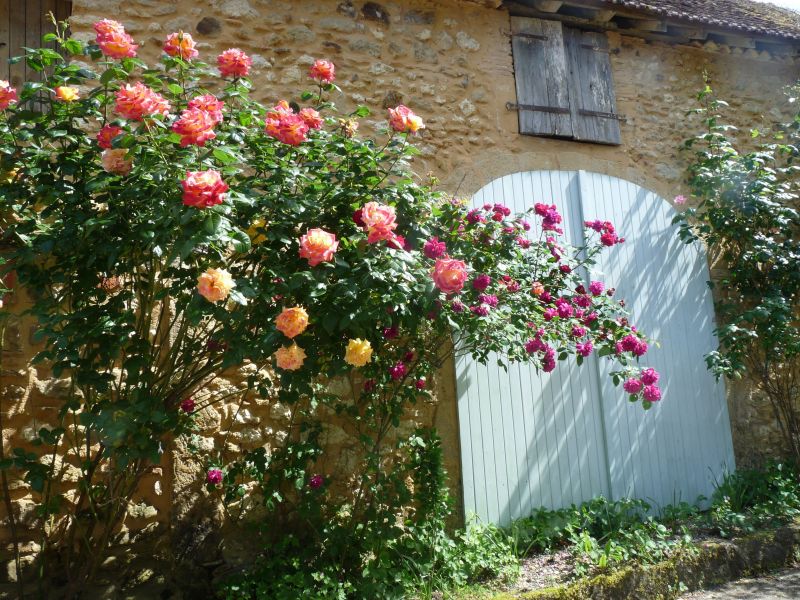 photo 6 Owner direct vacation rental Arzacq-Arraziguet maison Aquitaine Pyrnes-Atlantiques Courtyard