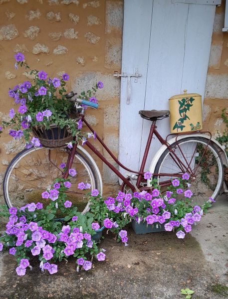 photo 10 Owner direct vacation rental Arzacq-Arraziguet maison Aquitaine Pyrnes-Atlantiques Courtyard