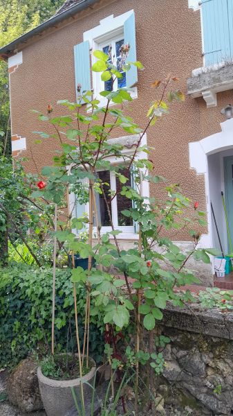 photo 5 Owner direct vacation rental Arzacq-Arraziguet maison Aquitaine Pyrnes-Atlantiques View of the property from outside