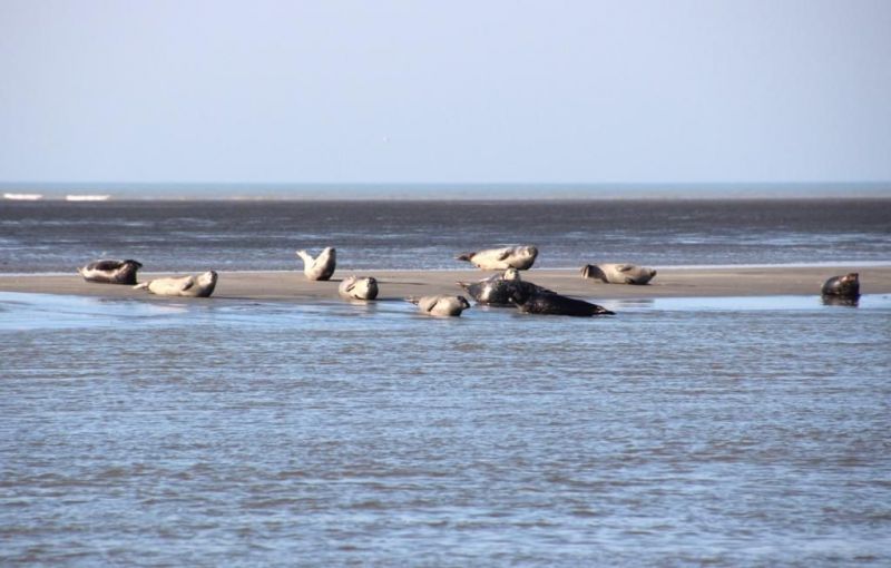 photo 3 Owner direct vacation rental Berck-Plage gite Nord-Pas de Calais Pas de Calais Surroundings