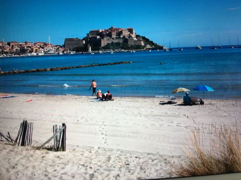 photo 21 Owner direct vacation rental Calvi appartement Corsica Corsica Beach