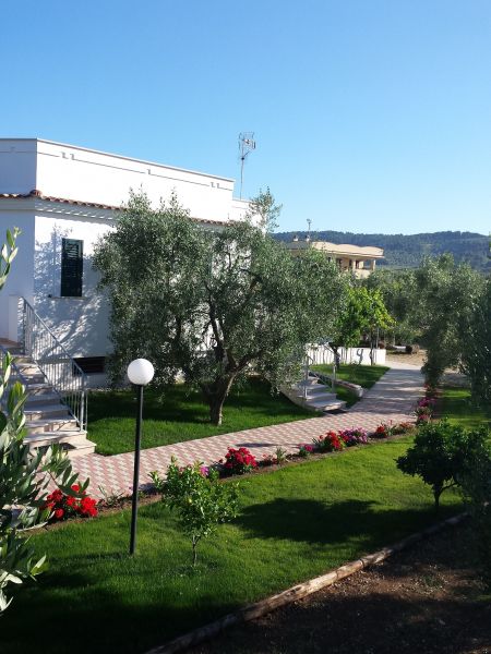 photo 4 Owner direct vacation rental Peschici appartement Puglia Foggia Province Garden