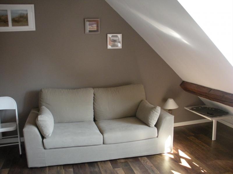 photo 3 Owner direct vacation rental Le Touquet appartement Nord-Pas de Calais Pas de Calais Living room