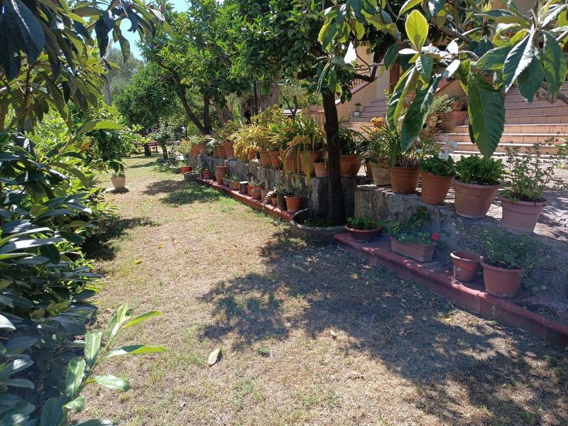 photo 23 Owner direct vacation rental Policastro Bussentino bungalow Campania Salerne Province Garden