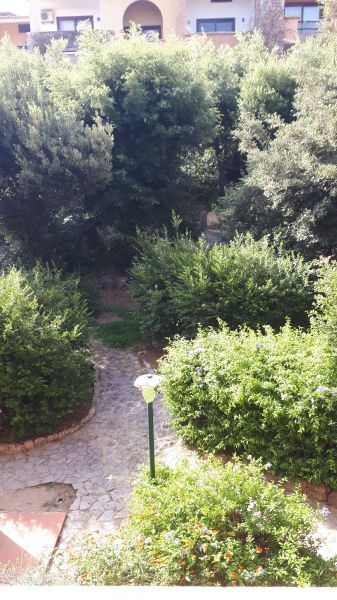 photo 3 Owner direct vacation rental Porto Rotondo appartement Sardinia Olbia Tempio Province Garden