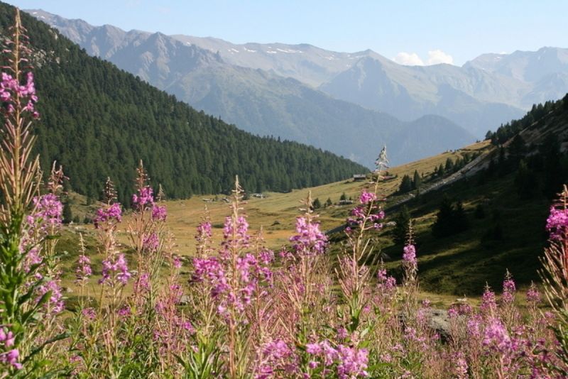 photo 11 Owner direct vacation rental Val Cenis appartement Rhone-Alps Savoie View of the property from outside