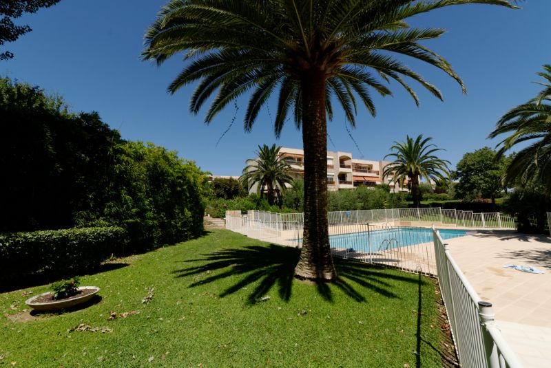 photo 15 Owner direct vacation rental Antibes studio Provence-Alpes-Cte d'Azur Alpes-Maritimes Swimming pool