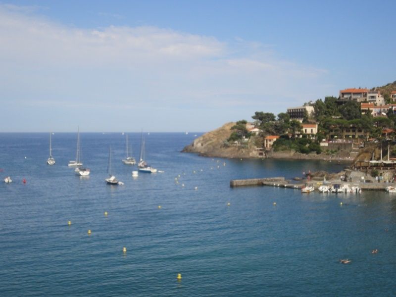 photo 0 Owner direct vacation rental Collioure appartement Languedoc-Roussillon Pyrnes-Orientales