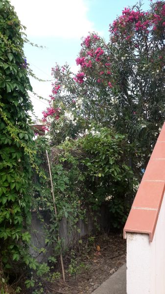 photo 14 Owner direct vacation rental Bruzzano Zeffirio appartement Calabria Reggio Calabria Garden