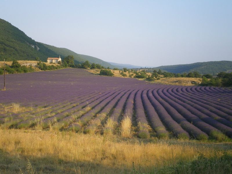 photo 20 Owner direct vacation rental Forcalquier gite Provence-Alpes-Cte d'Azur Alpes de Haute-Provence