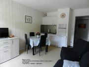 Cantal vacation rentals: studio # 116080