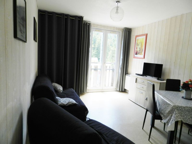 photo 8 Owner direct vacation rental Le Lioran studio Auvergne Cantal Lounge