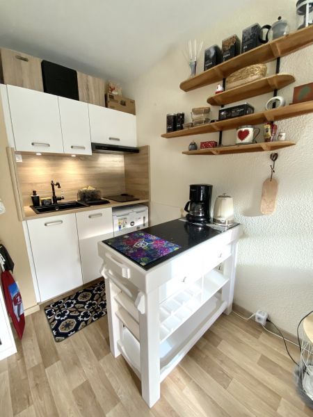 photo 2 Owner direct vacation rental Le Lioran studio Auvergne Cantal Kitchenette