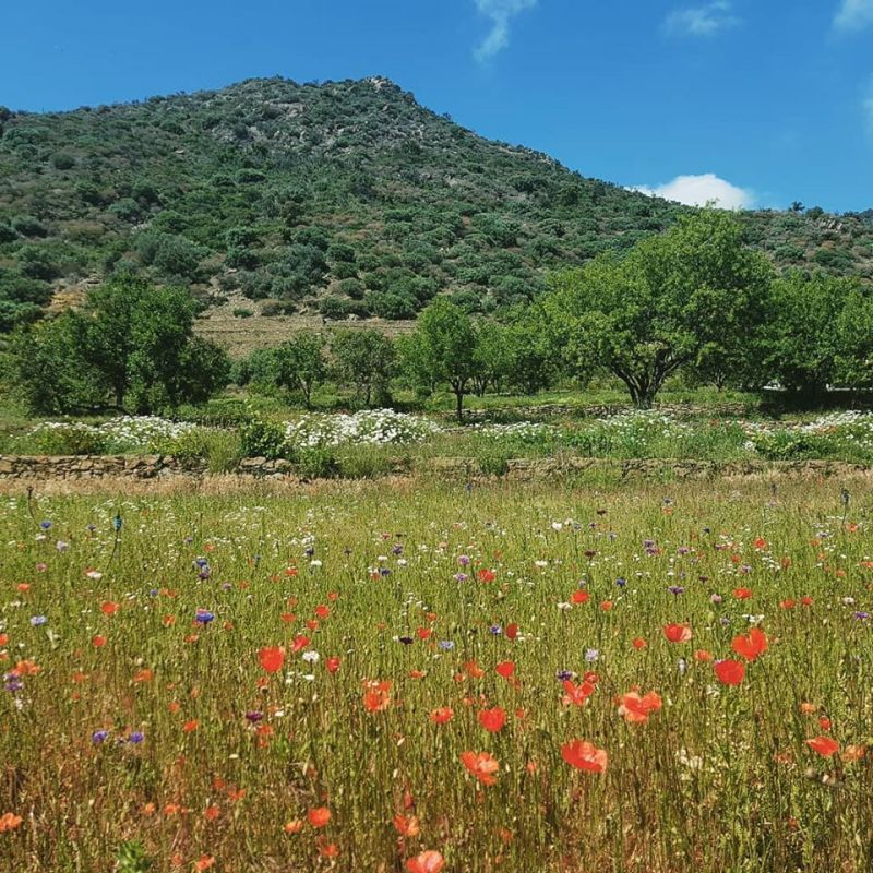 photo 22 Owner direct vacation rental Le Lavandou appartement Provence-Alpes-Cte d'Azur Var Other view