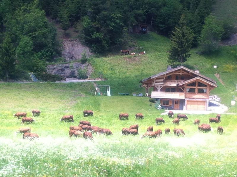 photo 13 Owner direct vacation rental Le Grand Bornand chalet Rhone-Alps Haute-Savoie View from the property